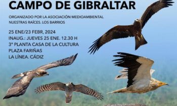 La exposición de las Jornadas de Fotografía de Naturaleza 2023 llega mañana a la Casa de la Cultura