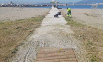 Playas ha retirado 135.000 kilos de algas de la costa en lo que va de año