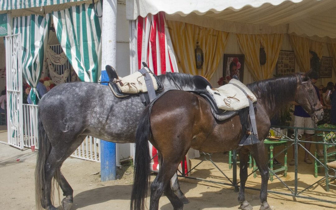 Iniciados los trámites para la celebración de la Velada y Fiestas 2024