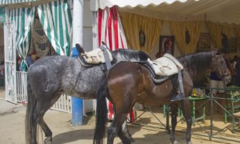 Iniciados los trámites para la celebración de la Velada y Fiestas 2024