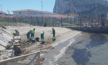 Playas acomete la limpieza manual de la playa de Los Manolos y el traslado de algas al vertedero