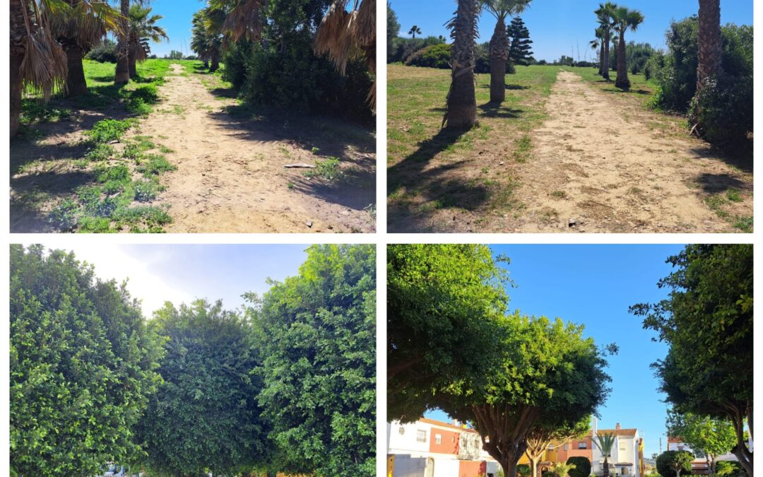 Parques y Jardines acomete la limpieza de parcelas como prevención ante la posibilidad de incendios por altas temperaturas