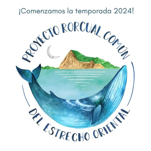 Ecolocaliza desarrolla avistamiento de ballenas desde la playa de levante