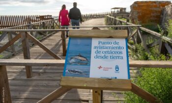 Ecolocaliza confirma la incorporación de nuevos voluntarios al proyecto de avistamiento y estudio de cetáceos desde tierra