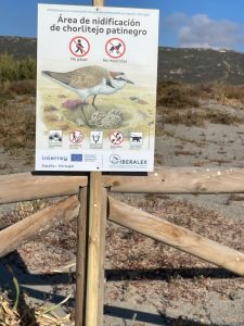 Colocada cartelería para la protección del “Chorlitejo Patinegro” en Sobrevela y Arroyo Negro