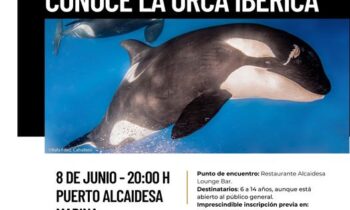 Ecolocaliza organiza un taller gratuito sobre la población de la orca que habita en el Estrecho