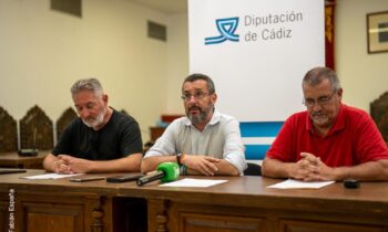 Playas presenta el calendario de proyecciones del Cine de verano