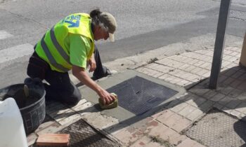 El Ayuntamiento atendió en julio 660 demandas ciudadanas formuladas a través de la plataforma Gecor