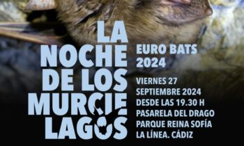 El 27 de septiembre se celebrará la “Noche de los Murciélagos” en el parque Reina Sofía