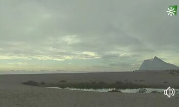 Bonito reportaje en La Línea sobre arroyo Negro emitido por canal Sur.